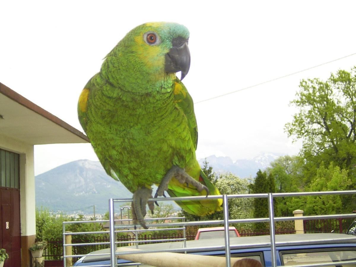 Le Paon Bleu Annecy Poisy Bed and Breakfast Εξωτερικό φωτογραφία